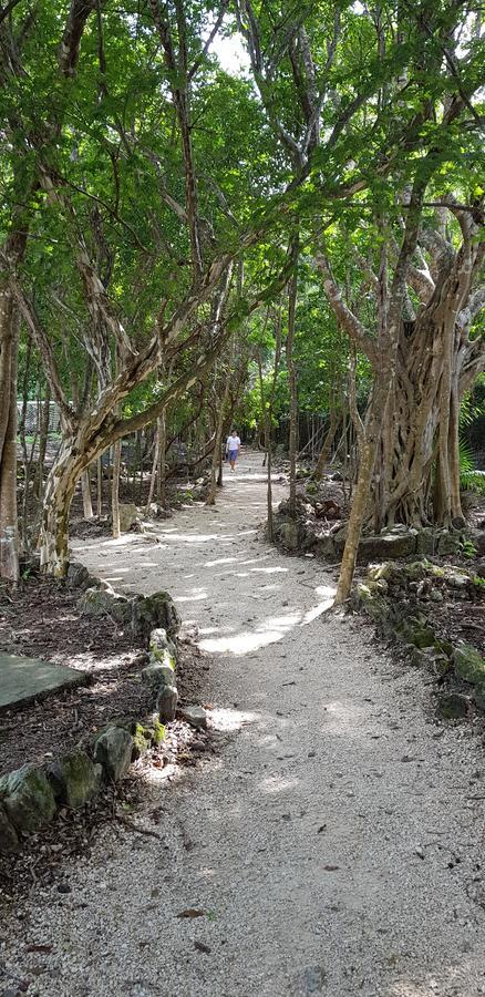 Selvakoba 63 Daire Playa del Carmen Dış mekan fotoğraf
