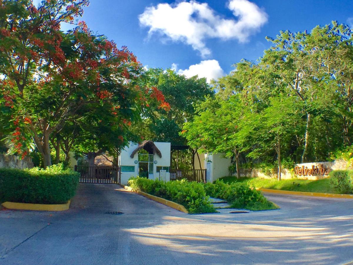 Selvakoba 63 Daire Playa del Carmen Oda fotoğraf